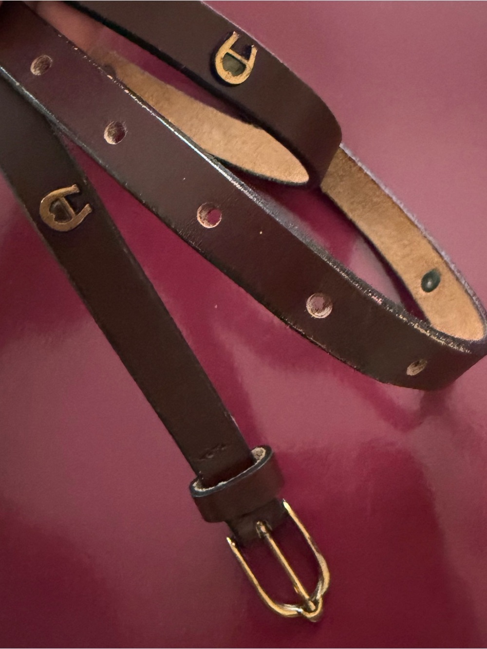 Vintage Etienne Aigner Brown Leather Skinny Belt Gold Horseshoe Logo Hardware